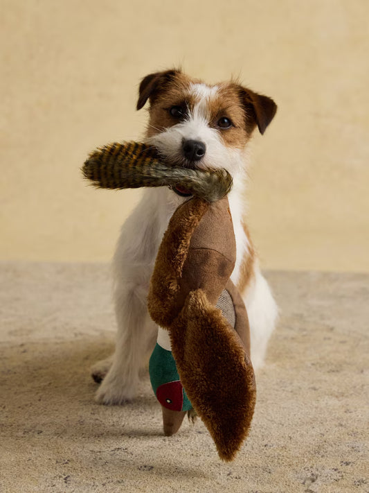 Pheasant Dog Toy