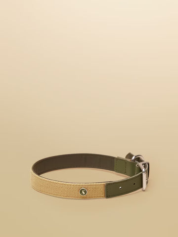 Dog Collar