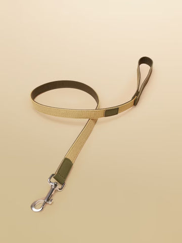 Dog Lead