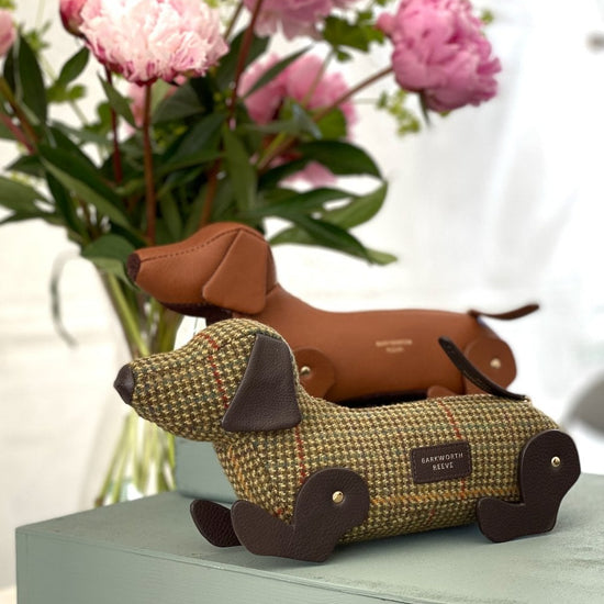 Young Ideas/Henmores - Pickles Dog shaped Zipped Case - Green Tweed/Chocolate - OS