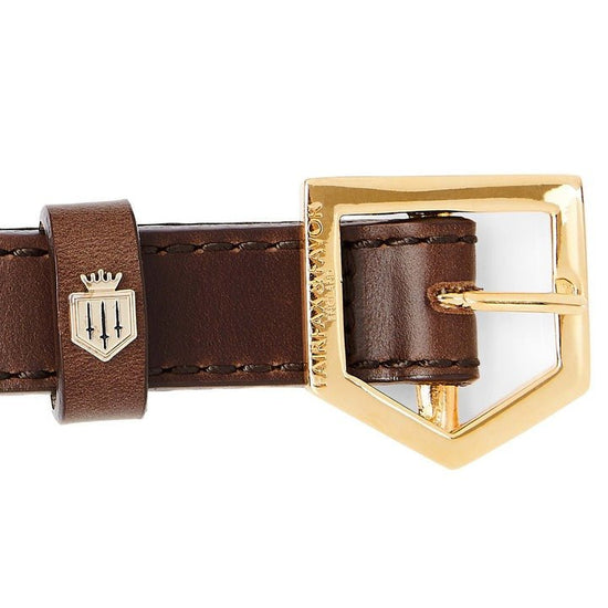 Young Ideas/Henmores - Fitzroy Dog Collar - Mahogany Leather - S