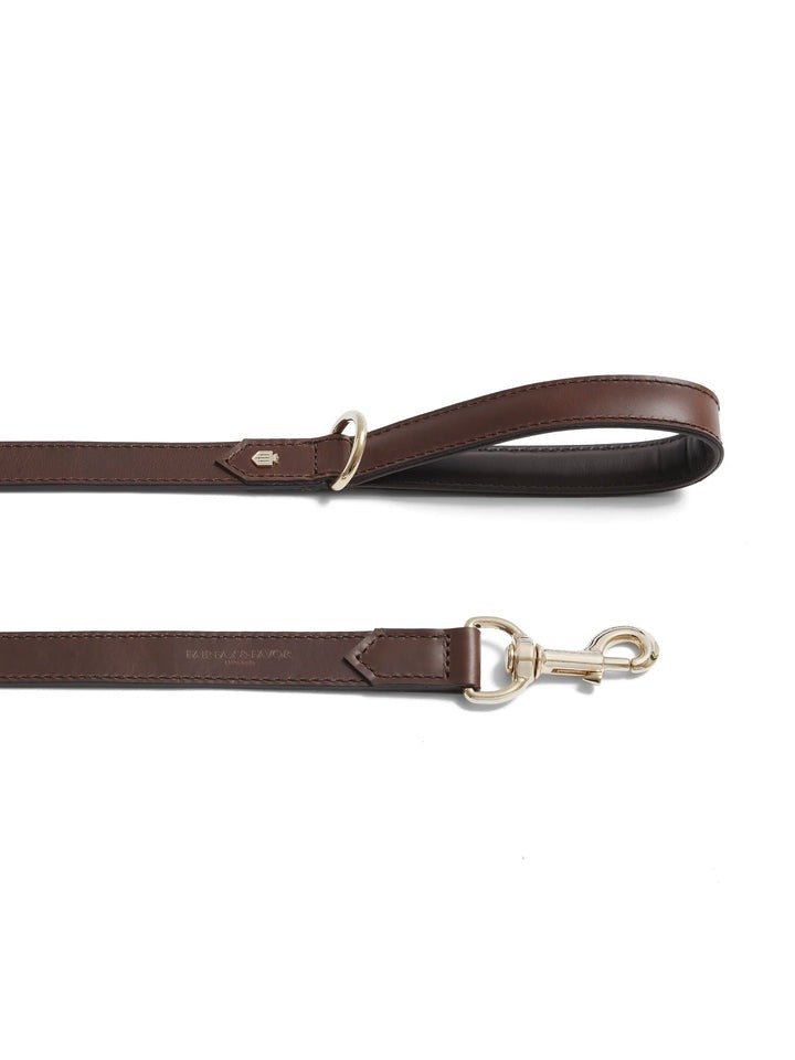 Young Ideas/Henmores - Fitzroy Dog Lead - Mahogany Leather - OS