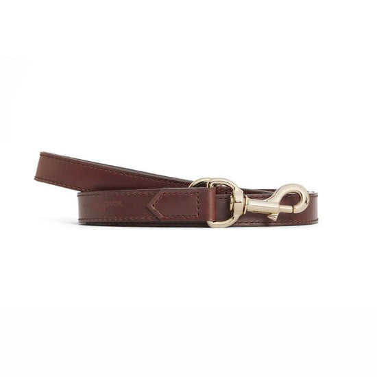Young Ideas/Henmores - Fitzroy Dog Lead - Mahogany Leather - OS