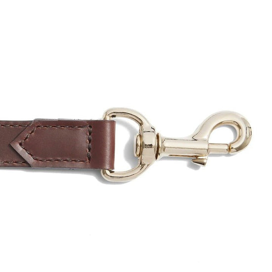 Young Ideas/Henmores - Fitzroy Dog Lead - Mahogany Leather - OS
