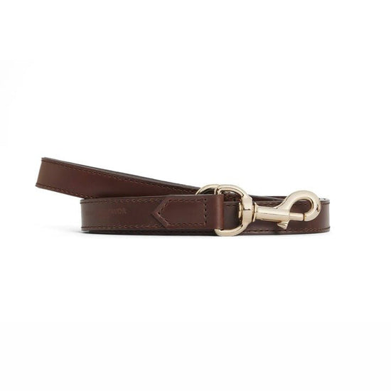 Young Ideas/Henmores - Fitzroy Dog Lead - Tan Leather - OS