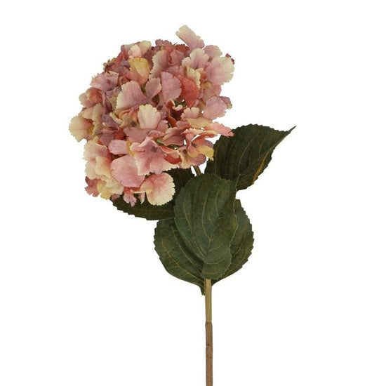 Young Ideas & Henmores - Hydrangea Stem - Antique Pink - OS