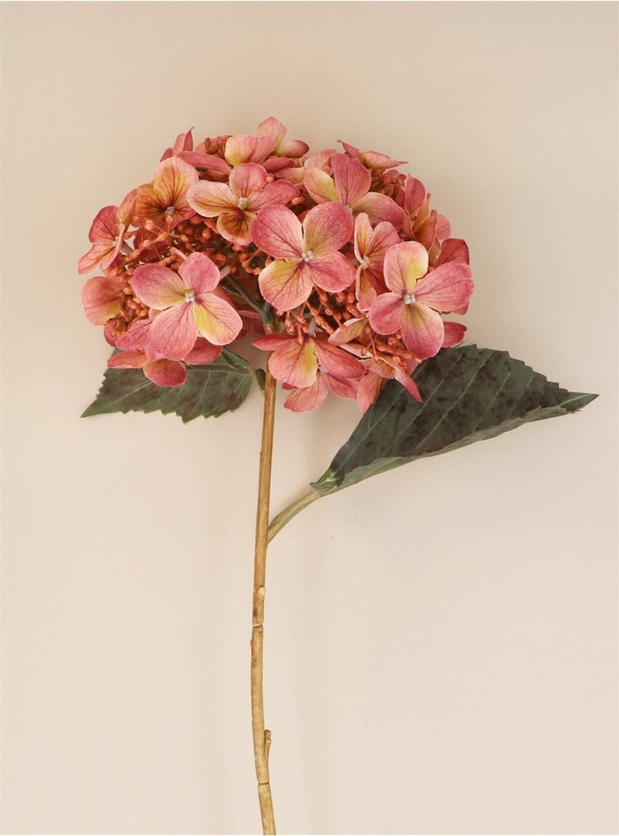 Young Ideas/Henmores - Lacecap Hydrangea Stem - Dusky Pink - Short