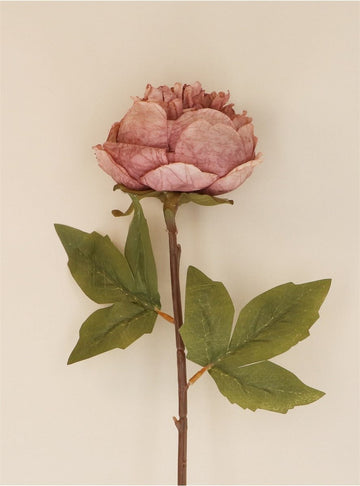 Young Ideas/Henmores - Peony Stem - Dusky Mauve - OS