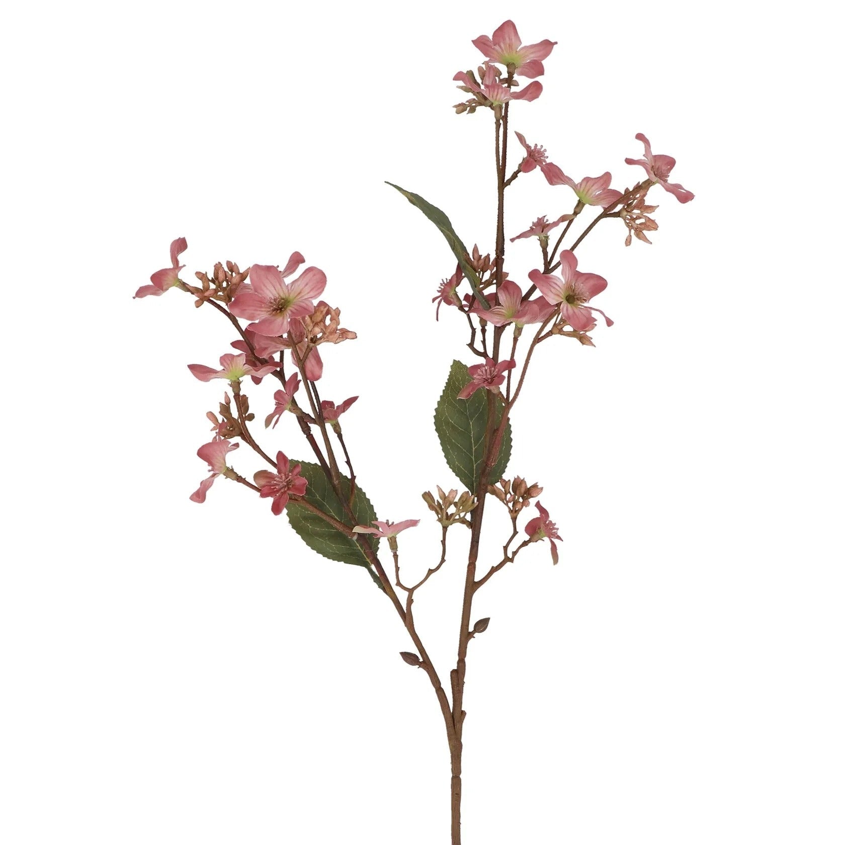 Young Ideas & Henmores - Tung Blossom Spray - Dusky Pink - OS