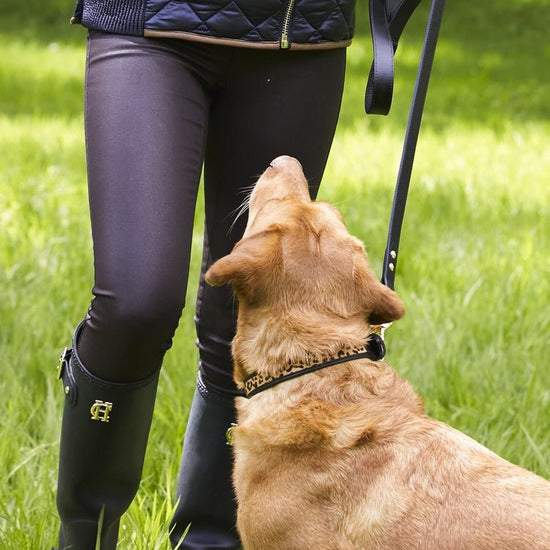 Young Ideas/Henmores - Classic Dog Lead - Black - OS