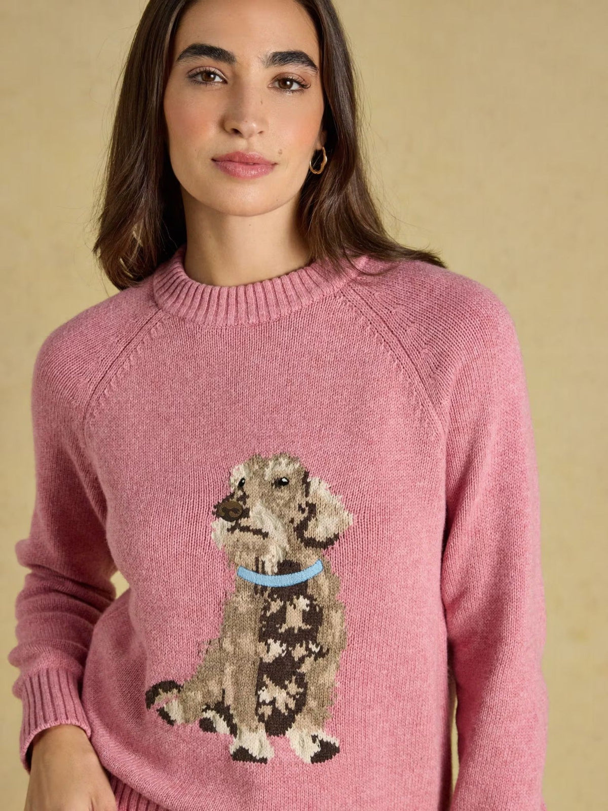 Young Ideas & Henmores -Dachshund Knit -Pink -L