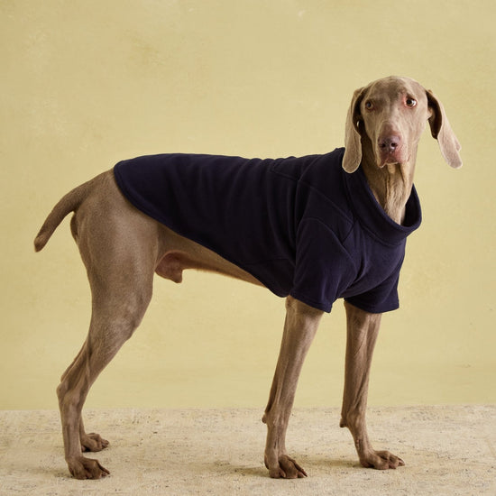 Young Ideas & Henmores -Dog Fleece -Navy -S