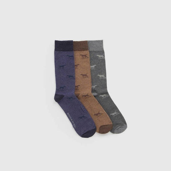Young Ideas & Henmores -Dogs-A-Plenty Three Pack Sock -Washed Multi -L