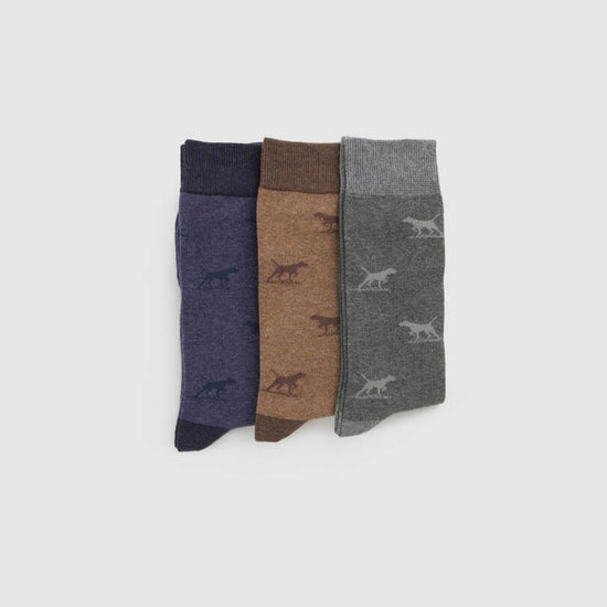 Young Ideas & Henmores -Dogs-A-Plenty Three Pack Sock -Washed Multi -L