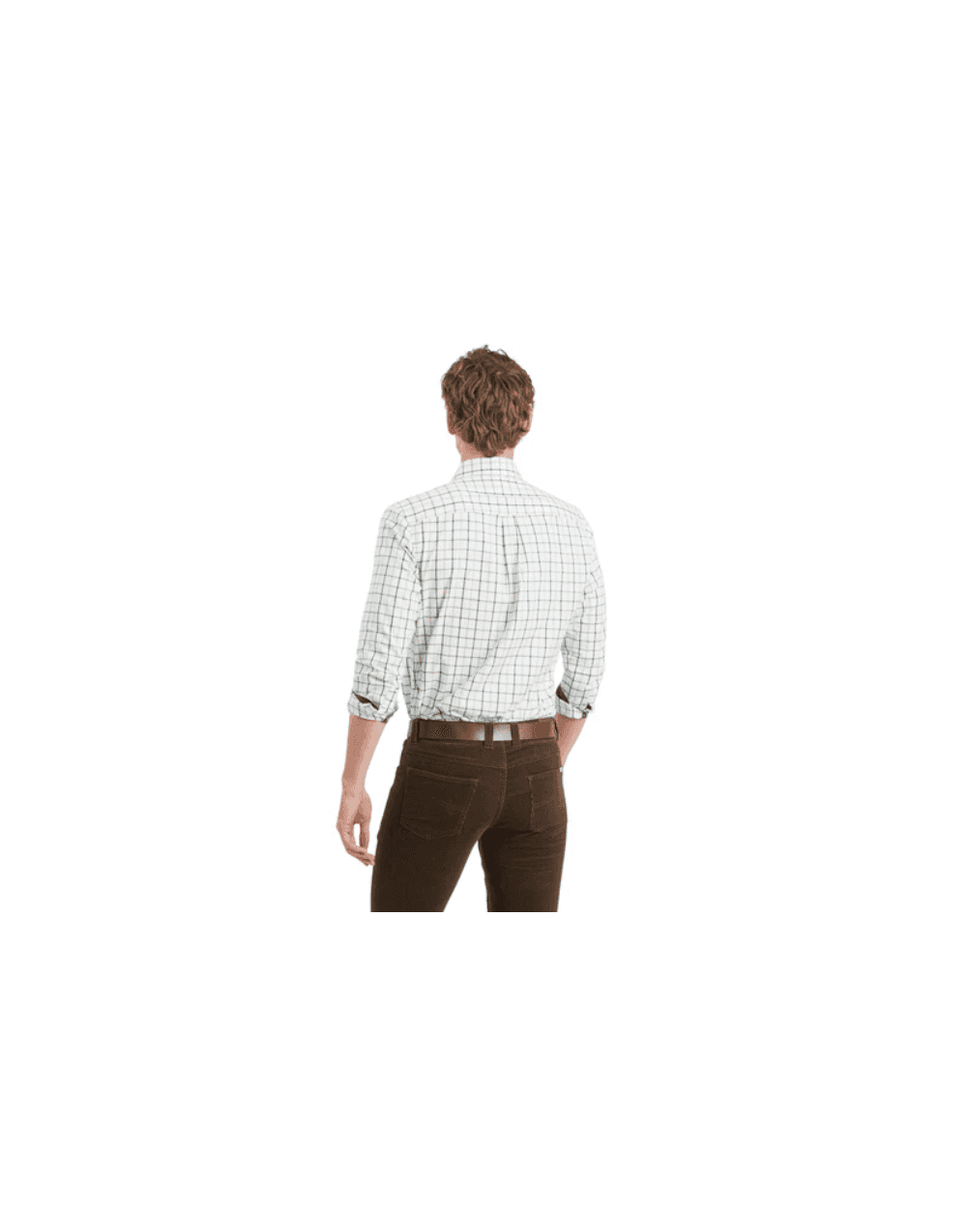 Young Ideas/Henmores - Baconsthorpe Tailored Shirt - 6684 Woodland Check - 15.5