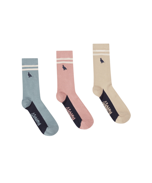 Young Ideas & Henmores -Women's Bamboo Sock (Box Of 3) -6999 Ptarmigan Stripe Mix -4-7