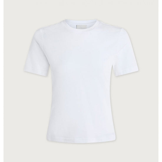 Young Ideas/Henmores - Regina Fitted T-Shirt - Taupe Marl - XS