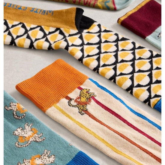 Young Ideas/Henmores - 12 Days Mens Sock Advent - Navy Multi - OS