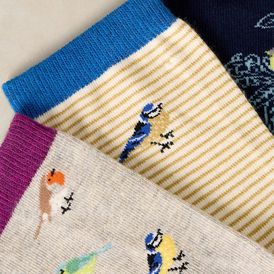 Young Ideas & Henmores -3 Pack Garden Bird Ankle Socks -Dark Teal -3-5